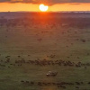 Отель Simba & Oryx Nature Camp, фото 5