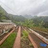 Отель Manshan Shishe Homestay, фото 11
