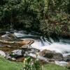 Отель Trogon Lodge, фото 3