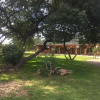 Отель Khama Rhino Sanctuary, фото 13