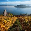 Отель Cozy Chalet in Meiggerli With Garden, фото 5