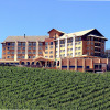 Отель Spa do Vinho Hotel & Condomínio Vitivinícola, фото 1