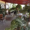 Отель Motel Pacific, фото 5