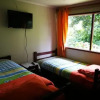 Отель Hostal Ruta 5 Sur, фото 5
