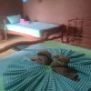 Отель Yala Peace Cottages, фото 4