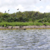 Отель San Felipe Inn Yucatan, фото 26
