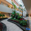 Отель Mercure Kunming Changshui International Airport, фото 11