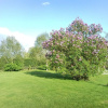 Отель Latchmead Bed & Breakfast, фото 10
