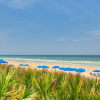 Отель Shore to Please Beach Oceanfront Patio Pet Friendly, фото 15