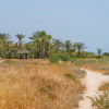 Отель Sea front Villa Dagi - Gorgona Complex, фото 8