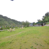 Отель OYO 16922 Home Mussoorie Valley View, фото 11