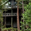 Отель Scenic Wonders Treehouse Lodge 2 Bedroom, фото 13