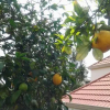 Отель Abundante B&B on 8 Marlowe, фото 7