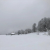 Отель Cottage in Bakuriani, фото 12