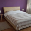Отель Stylish Apartment in Dorcol, фото 7