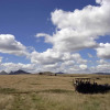Отель Samara Karoo Reserve, фото 28