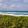 Отель Hampton Inn Boca Raton, фото 23