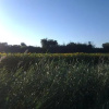 Отель gîte les Papyrus, фото 24