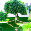 Отель Apartment 6 Sleeps Between The Most Beautiful Beaches Of Salento, фото 4
