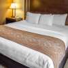 Отель Comfort Suites Hummelstown - Hershey, фото 15