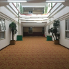 Отель Jinhui International Hotel, фото 10