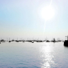 Отель Harbour View, фото 15