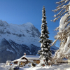 Отель Chalet Bergfink, фото 13