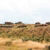 Отель Osiligilai Maasai Lodge, фото 37