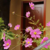 Отель Shangri-La Yunju Ii Boutique Home Stay, фото 19