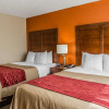 Отель Comfort Inn & Suites, фото 27