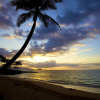 Отель Makena Beach & Golf Resort, фото 12