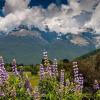 Отель Glenorchy Peaks B&B, фото 22