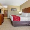 Отель Comfort Inn & Suites, фото 24