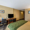 Отель Comfort Inn & Suites, фото 2