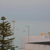Отель Apartamento Vista Mar a menos de 50m da praia., фото 1