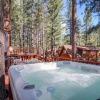 Отель Trout Creek Retreat, фото 16