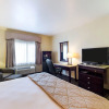 Отель Quality Inn & Suites, фото 6