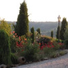 Отель Il Poggiolo, фото 9