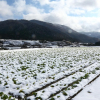 Отель Ohara no Sato, фото 40