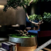 Отель Wellton International Hotel Ganzhou Juyicheng, фото 16