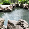 Отель Oasis Regency at Acqua Livingstone near Rockwell, фото 19