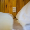 Отель Ayllu Refugio Ecologico, фото 15