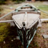 Отель Cowichan River Lodge, фото 7