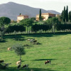 Отель Tenuta di Poggiovalle, фото 6