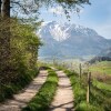 Отель Schneeberghof, фото 46