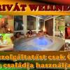 Отель Napraforgó Wellness Ház és Panzió, фото 19