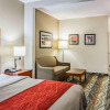 Отель Comfort Inn & Suites Chattanooga West - Lookout Mountain, фото 7