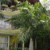 Отель Dolce Vita Resort в Буджумбуре