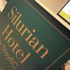 Отель Silurian Hotel Double Bedroom by StayBC в Гвенте