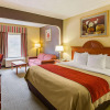 Отель Quality Suites Altavista - Lynchburg South, фото 7